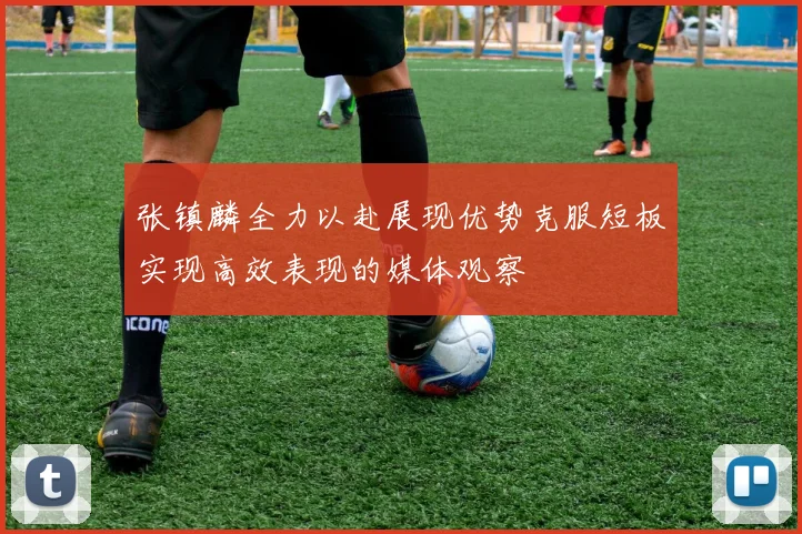 张镇麟全力以赴展现优势克服短板实现高效表现的媒体观察