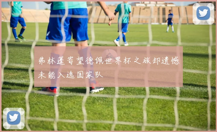 弗林蓬寄望德佩世界杯之旅却遗憾未能入选国家队