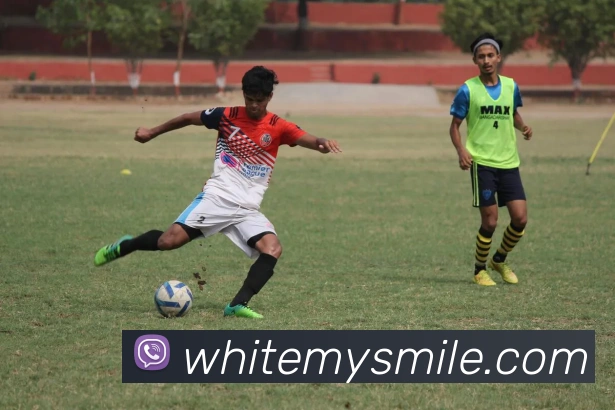 九游j9官方官网服务体系